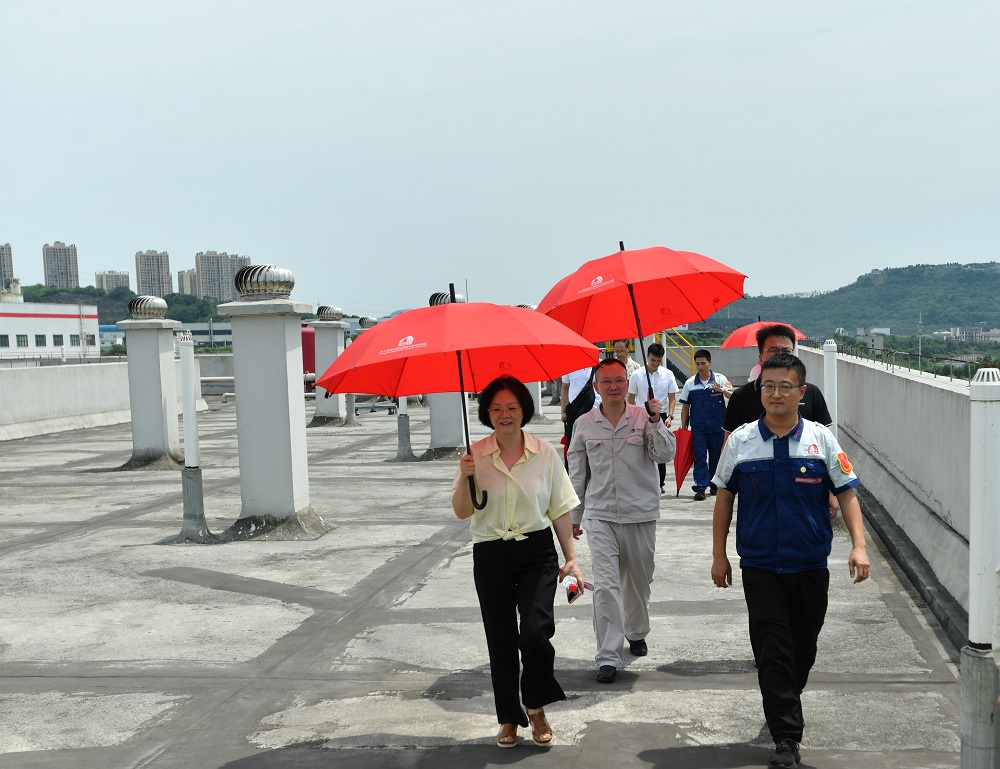 ˳ӯ����-����ƽ̨,ע�ᳩ����Ԫѡ��!