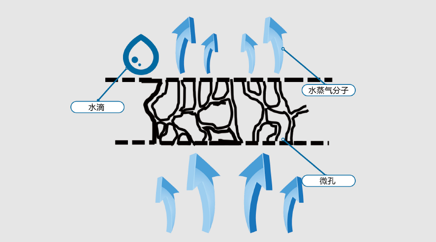 ˳ӯ����-����ƽ̨,ע�ᳩ����Ԫѡ��!