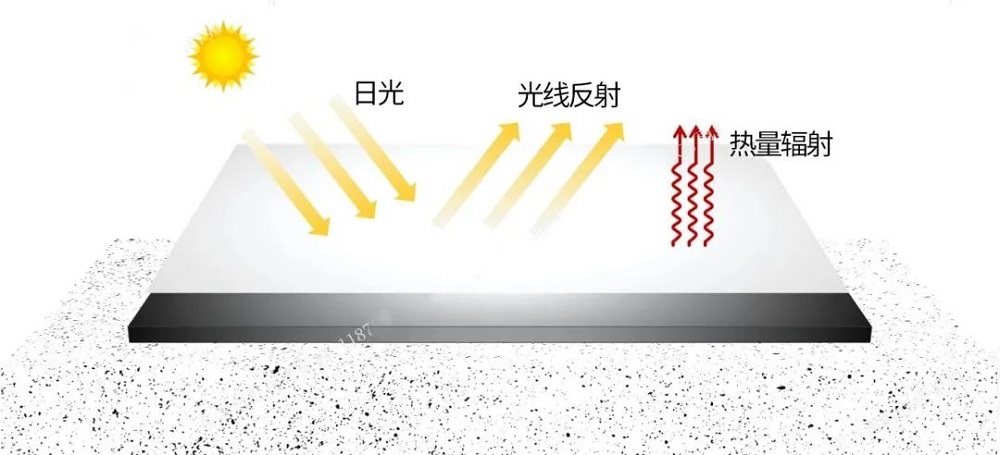 ˳ӯ����-����ƽ̨,ע�ᳩ����Ԫѡ��!