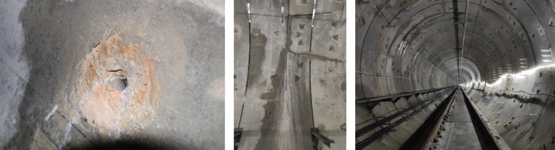 ˳ӯ����-����ƽ̨,ע�ᳩ����Ԫѡ��!