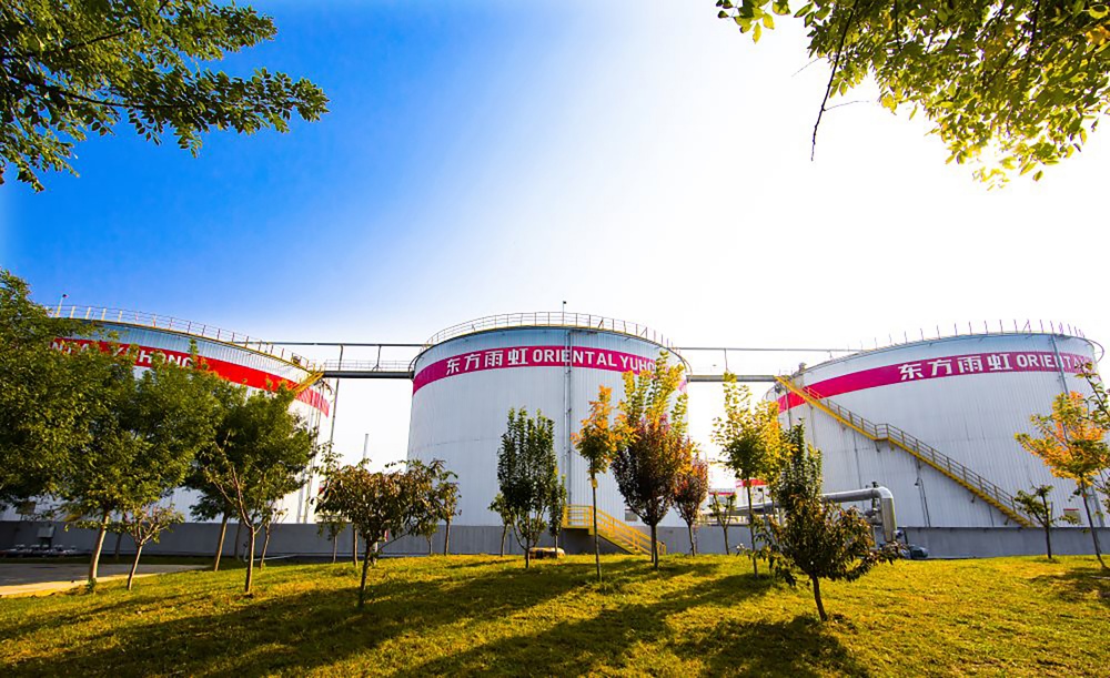 ˳ӯ����-����ƽ̨,ע�ᳩ����Ԫѡ��!