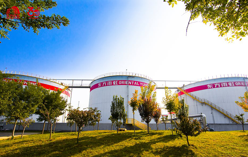 ˳ӯ����-����ƽ̨,ע�ᳩ����Ԫѡ��!